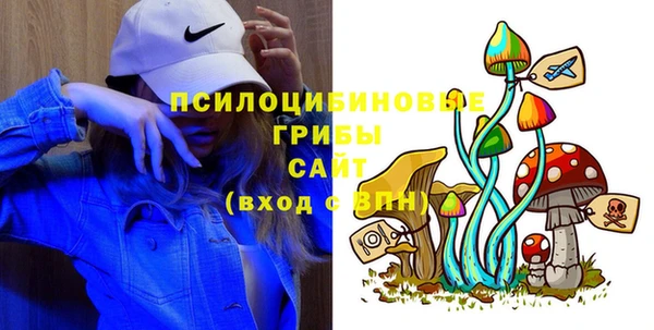 прущие грибы Лагань