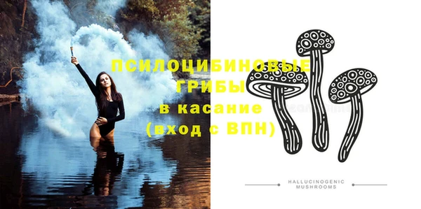 прущие грибы Лагань