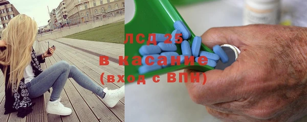 прущие грибы Лагань