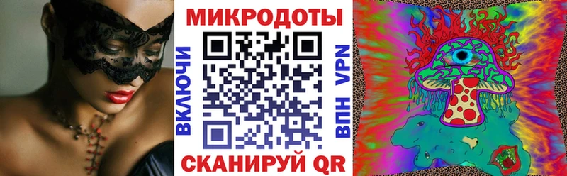 hydra как войти  Томилино  Галлюциногенные грибы Psilocybe  купить наркоту 